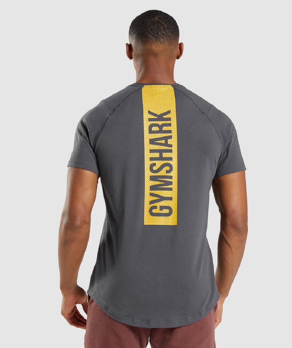 T Shirts Gymshark Bold Hombre Negras Gris | CO 3356HAP